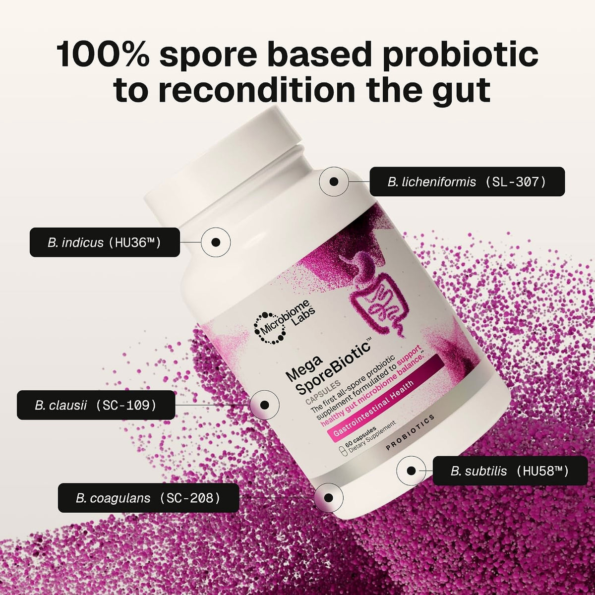 Microbiome Labs MegaSporeBiotic Daily Adult Probiotic